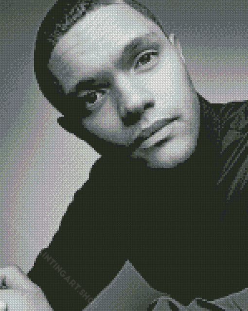 Black And White Trevor Noah Diamond Painting Art