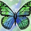 Blue And Green Butterfly Diamond Painting Art