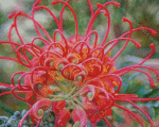 Peachy And Pink Grevillea Diamond Painting Art
