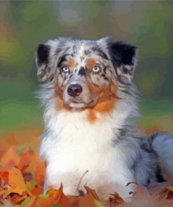 Blue Merle Dog Pet Diamond Painting Art