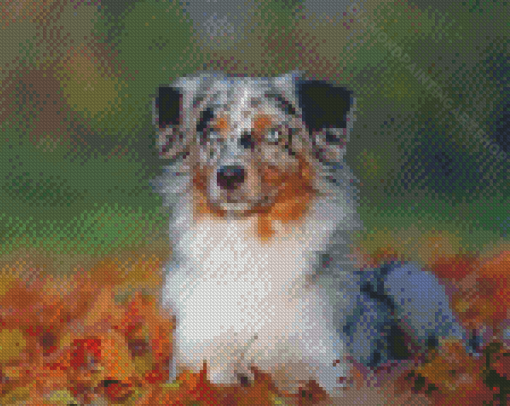 Blue Merle Dog Pet Diamond Painting Art