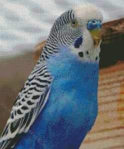 Blue Parakeet Bird Diamond Painting Art