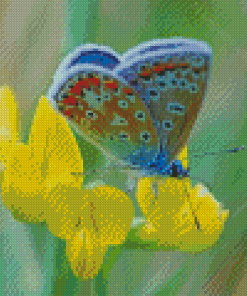 Butterfly On Yellow Flower Diamond Painting Art