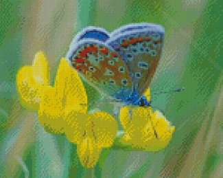 Butterfly On Yellow Flower Diamond Painting Art