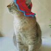 Cat In Summer Hat Diamond Painting Art