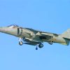 Flying Harrier Jet Diamond Painting Art