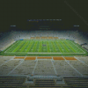 Notre Dame Stadium At Night Diamond Painting Art