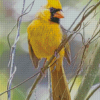 Yellow Cardinal Diamond Painting Art