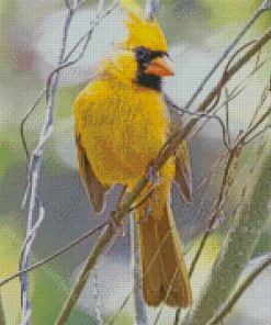 Yellow Cardinal Diamond Painting Art
