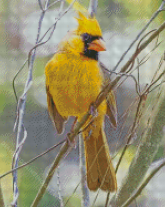 Yellow Cardinal Diamond Painting Art