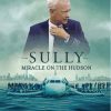 Sully Miracle On The Hudson Diamond Painting Art