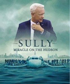 Sully Miracle On The Hudson Diamond Painting Art