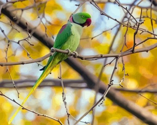 Alexandrine Parakeet Diamond Painting Art