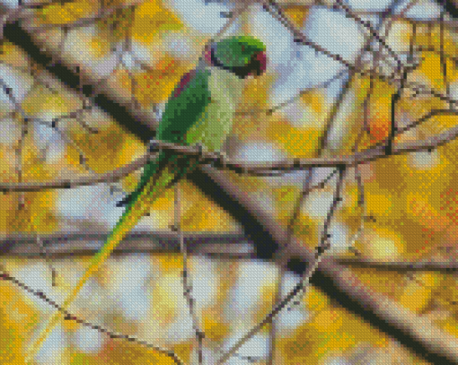 Alexandrine Parakeet Diamond Painting Art