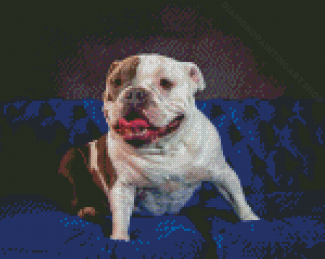 American Bulldog On Sofa Diamond Painting Art