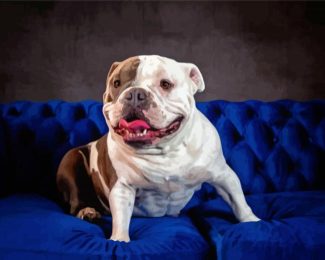 American Bulldog On Sofa Diamond Painting Art