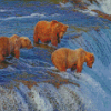Bears Fishing In River Diamond Painting Art