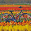 Bicycle And Tulips Flowers Diamond Painting Art