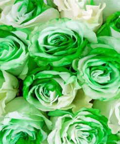 Green And White Flowers Roses Diamond Painting Art