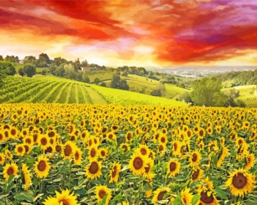 Italy Sunflowers Field Diamond Painting Art