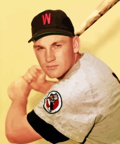 Professional Baseball Player Harmon Killebrew Diamond Painting Art