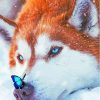 Puppy Butterfly In Snow Diamond Painting Art