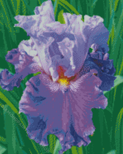 Purple Bearded Iris Diamond Painting Art