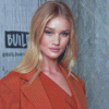 Rosie Huntington Whiteley Diamond Painting Art