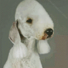 Sad Bedlington Diamond Painting Art