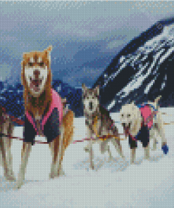Sled Dogs Animals Diamond Painting Art