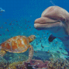 Turtle And Dolphin Diamond Painting Art