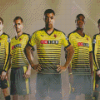 Watford Football Players Diamond Painting Art