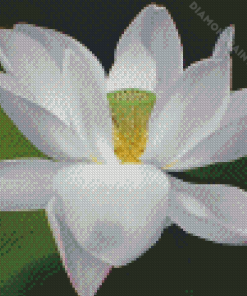 White Lotus Diamond Painting Art