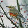 Aesthetic Redwing Bird Diamond Painting Art