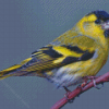 Cool Eurasian Siskin Diamond Painting Art