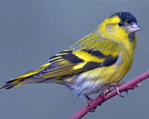 Cool Eurasian Siskin Diamond Painting Art