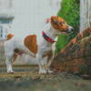 Cool Jack Terrier Diamond Painting Art