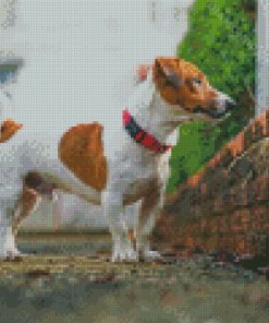 Cool Jack Terrier Diamond Painting Art
