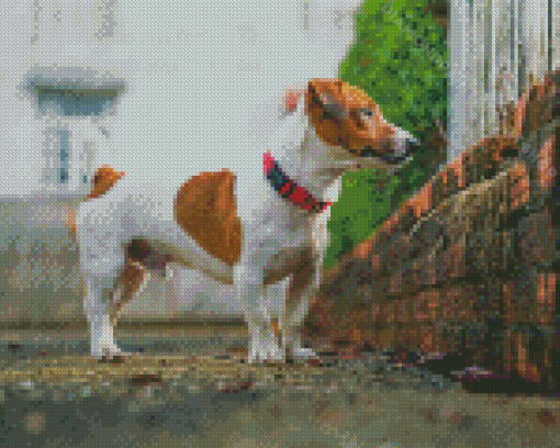 Cool Jack Terrier Diamond Painting Art