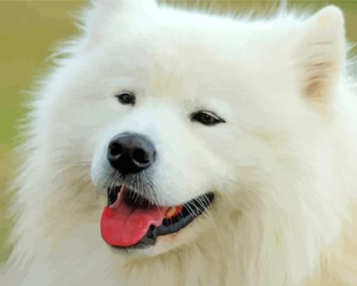 Cute White Fluffy Dog Diamond Painting Art