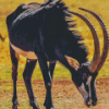 Sable Antelope Diamond Painting Art