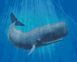 Sperm Whale Underwater Diamond Painting Art