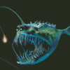 Anglerfish Animal Diamond Painting Art