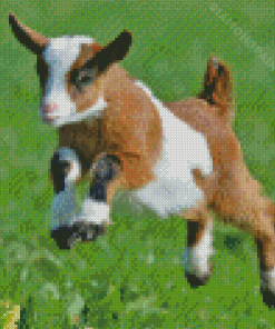 Baby Goat Play Diamond Painting Art