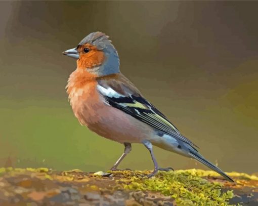 Chaffinch Diamond Painting Art