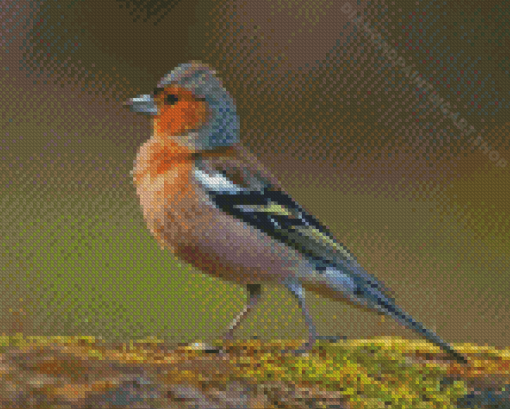 Chaffinch Diamond Painting Art