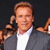 Classy Actor Arnold Schwarzenegger Diamond Painting Art