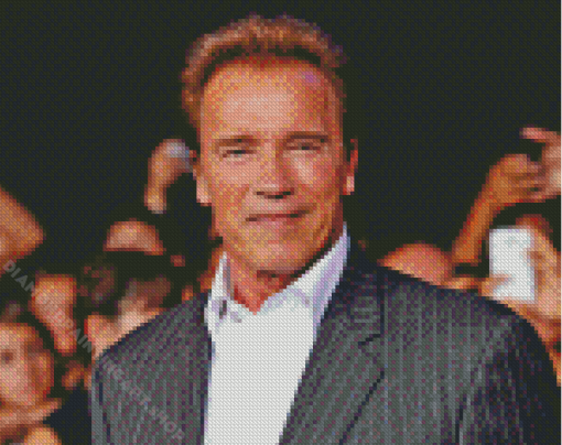 Classy Actor Arnold Schwarzenegger Diamond Painting Art