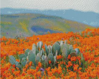 Desert Poppies Diamond Painting Art