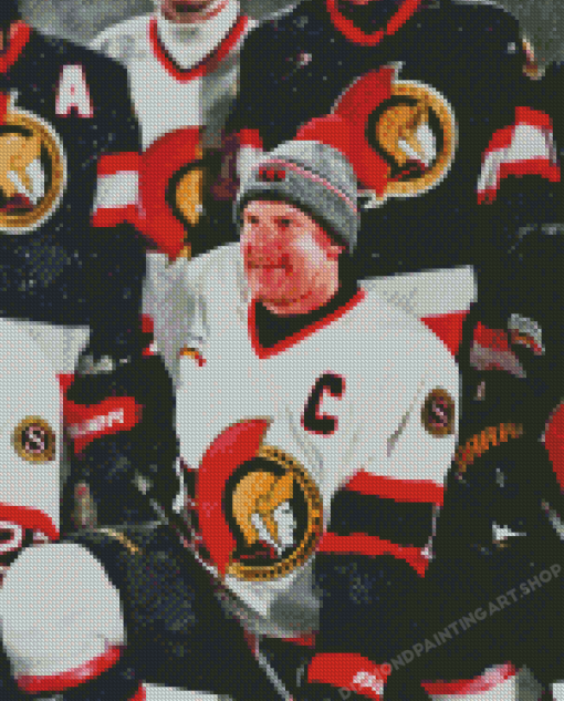 Ottawa Senators Players Diamond Painting Art